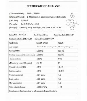 Preview: 10 x 250 mg NAD+-Lyophilisat (β-Nicotinamidadenindinukleotid; CAS 53-84-9) - Rückgabe ausgeschlossen - Pharmazeutische Qualität - Importware
