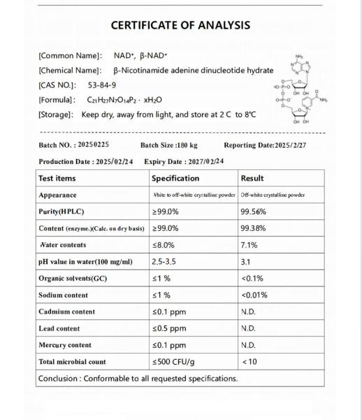 10 x 250 mg NAD+-Lyophilisat (β-Nicotinamidadenindinukleotid; CAS 53-84-9) - Rückgabe ausgeschlossen - Pharmazeutische Qualität - Importware
